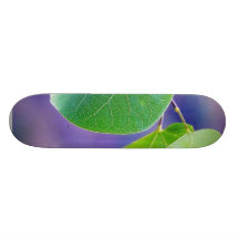 Canyon Leaves Skate Board Decks