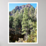 Canyon Pines
