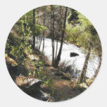 Canyon Stream Trees Kootenai On Hill Round Stickers