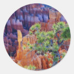 Canyon Tree Sticker