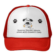 Cap ACE Trucker Petten