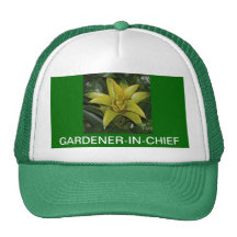 CAP, GARDENER-IN-CHIEF, GREEN BROMELIAD MESH HAT