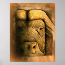 Cape Buffalo Print