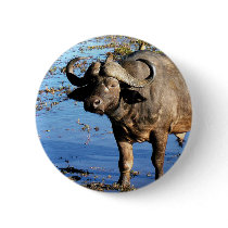 Cape Buffalo safari big 5 buttons & badges