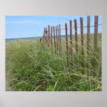 Cape Cod Dunes Print