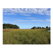 Cape Cod Salt Marsh Postcard