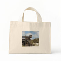 Cape San Blas Florida Dunewalk from beach side Bags