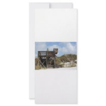 Cape San Blas Florida Dunewalk from beach side Custom Rack Card