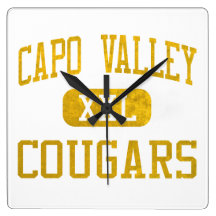 Capistrano Valley Cougars Athletics