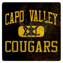 Capistrano Valley Cougars Athletics