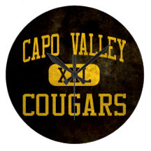 Capistrano Valley Cougars Athletics