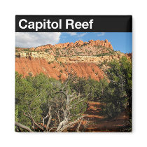 Capital Reef National Park Refrigerator Magnets