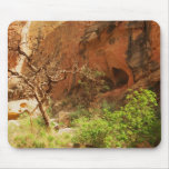 Capitol Reef National Park Mouse Mat