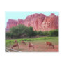 Capitol Reef National Park, UT Postcards