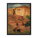 Capitol Reef National Park, Utah Postcard