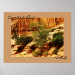 Capitol Reef National Park, Utah Print