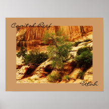 Capitol Reef National Park, Utah Print