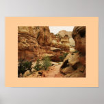 Capitol Reef, Utah Poster