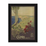 Capri Napoli Post Cards
