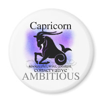 Capricorn About You Fridge Magnets