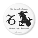Capricorn Constellation/Zodiac Magnet