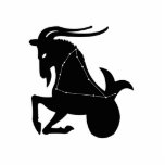 Capricorn Constellation/Zodiac Photo Sculpture photo sculptures
