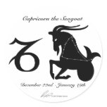Capricorn Constellation/Zodiac Stickers