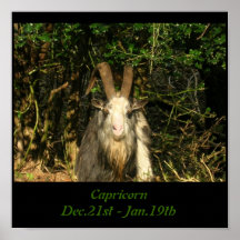 Capricorn Posters