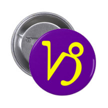 CAPRICORN, ZODIACAL SIGN PINS