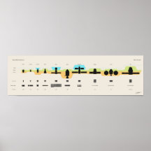 Capsule Size Infographic Posters