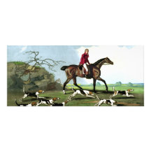 Captain Ricketts Rack Card Template