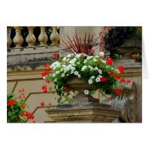 Captain's Square Flowers Cards