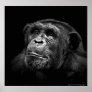 "Captive Exposure" Wildlife Chimp Artwork Canvas Posters