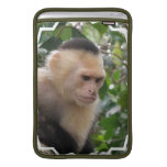 Capuchin Monkey 11" MacBook Sleeve