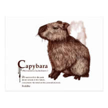 capybara - chocolate ポストカード