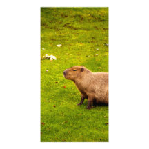 Capybara Personalized Photo Card
