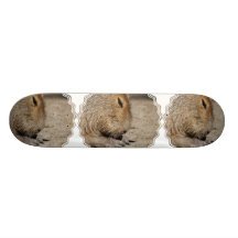 Capybara Skateboard