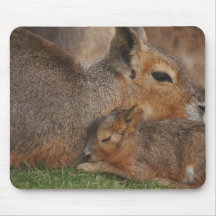 Capybaras Mousepad