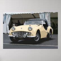CAR 24 PRINT
