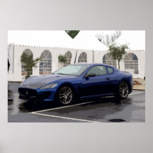 CAR 30 POSTERS