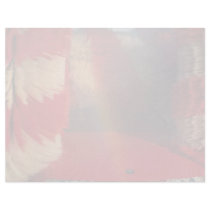 Car wash customized letterhead