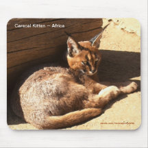 Caracal African Wild Cat Wildlife Supporter Mouse Pad