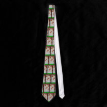 CARAMELLA INDICA ties