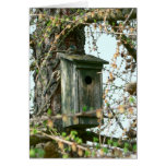 Card-Bird House Nature Scene