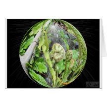 Card Bubble Fern