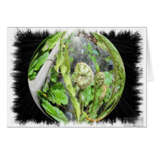 Card Bubble Fern Frame