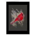 Card - Cardinal