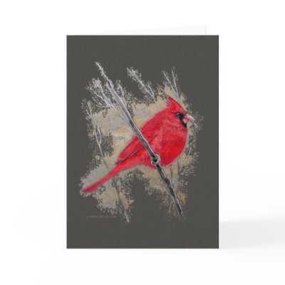 Card - Cardinal  by pawtraitart