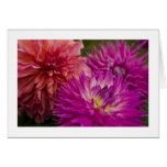 Card, Dahlia # 150
