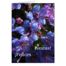 Card - ¡Felices Fiestas!